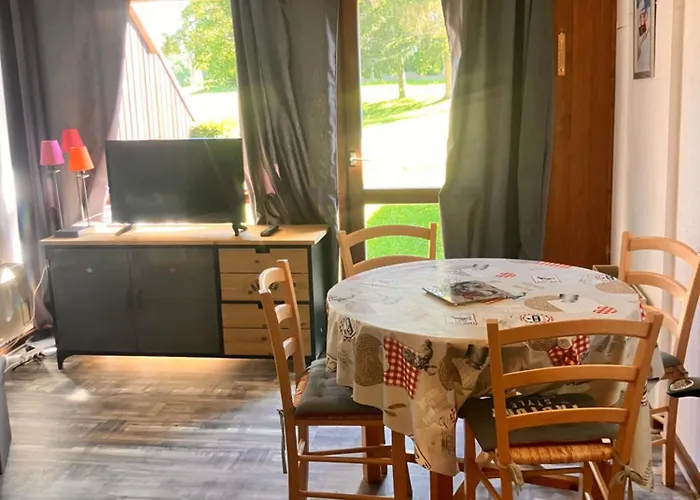 Appartement Aux Pieds Des Pistes