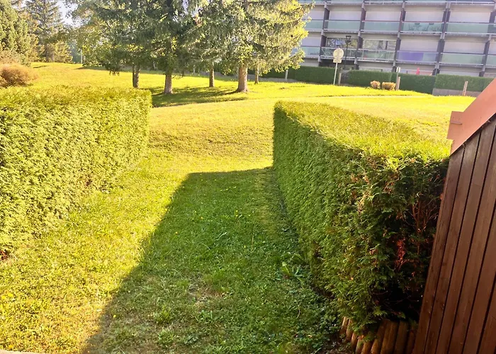 Appartement Aux Pieds Des Pistes